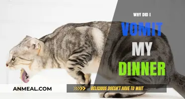 Why Did I Vomit My Dinner? Exploring Common Causes and Remedies
