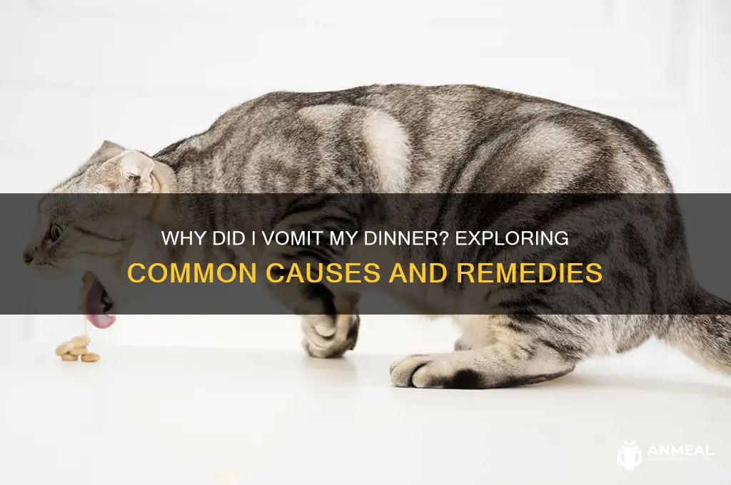 why did i vomit my dinner