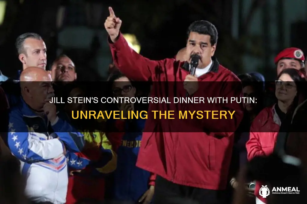 why did jill stein have dinner with putin