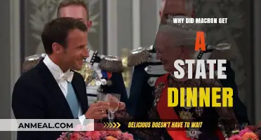 Macron's State Dinner: Unraveling the Diplomatic Significance and Symbolism