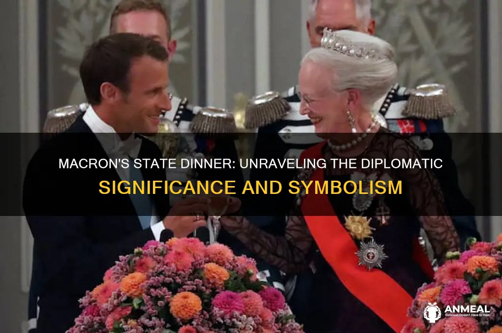 why did macron get a state dinner