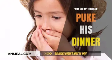 Toddler Vomited Dinner: Common Causes and When to Worry