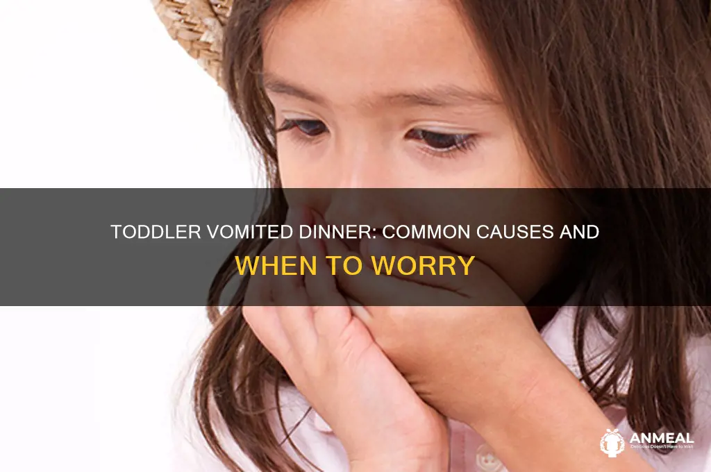why did my toddler puke his dinner