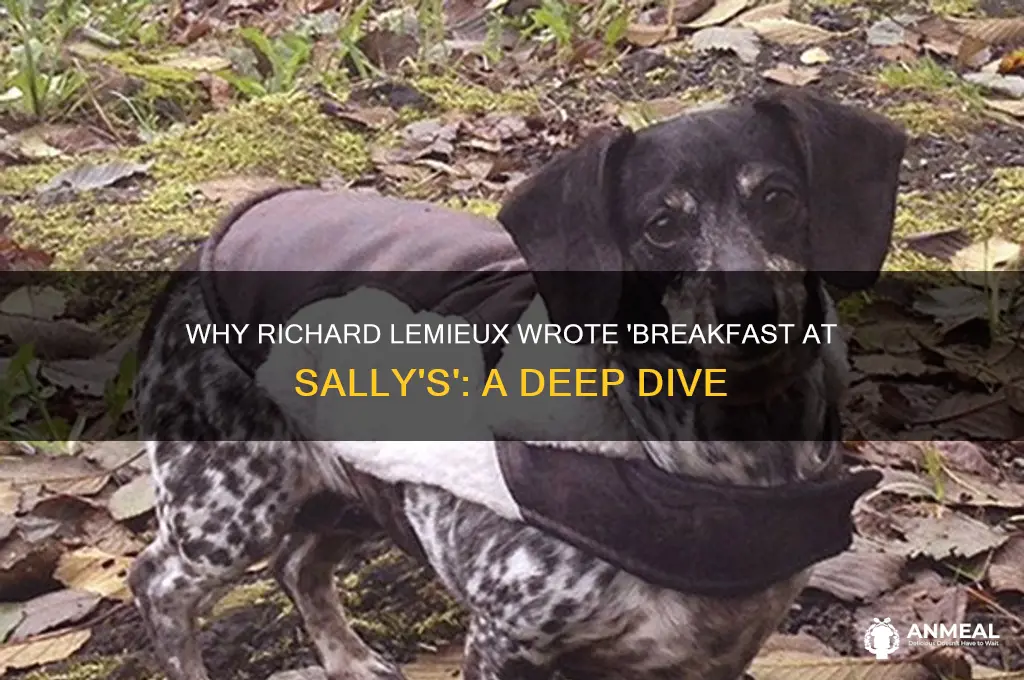 why did richard lemieux write breakfast at sallies