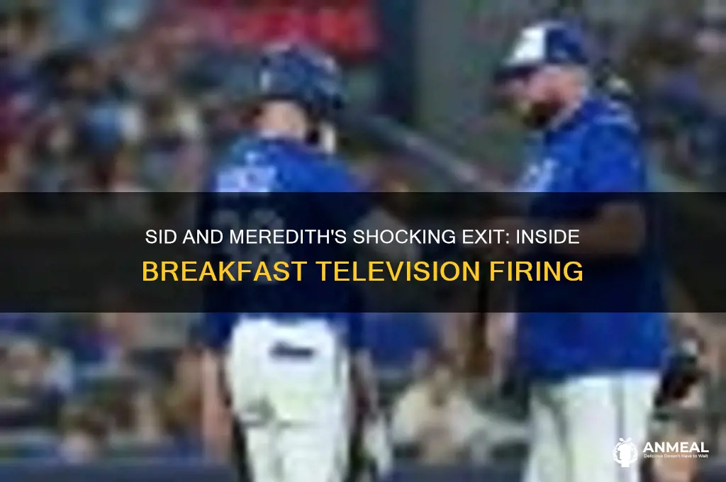 why did sid and meredith get fired from breakfast television