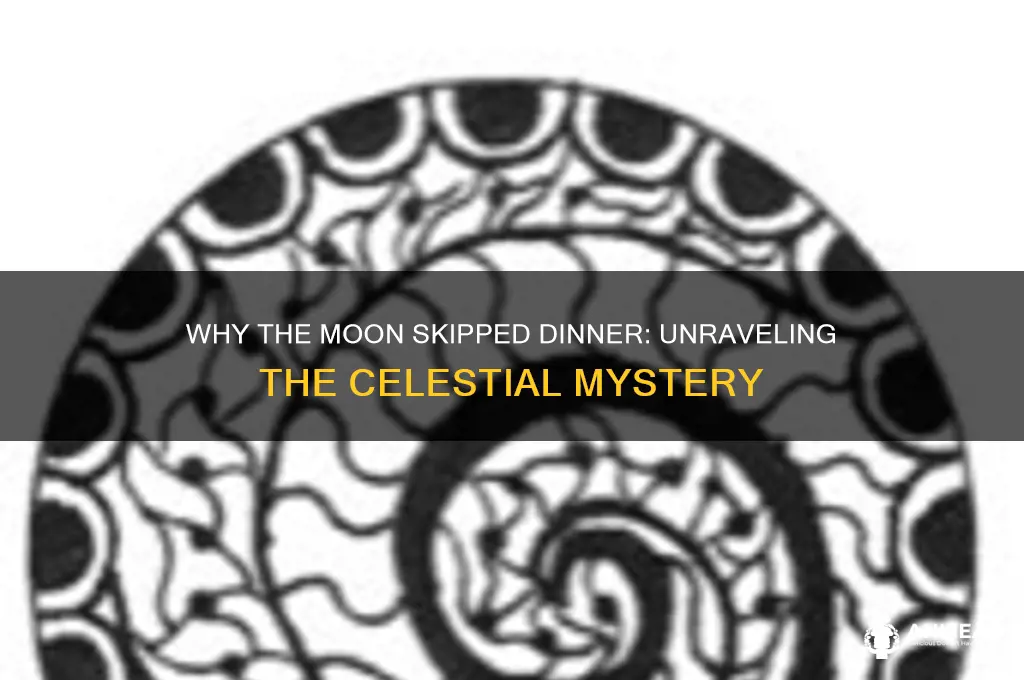 why did the moon skip dinner
