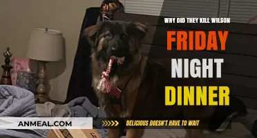 Why Wilson's Death Shocked Friday Night Dinner Fans: Explained