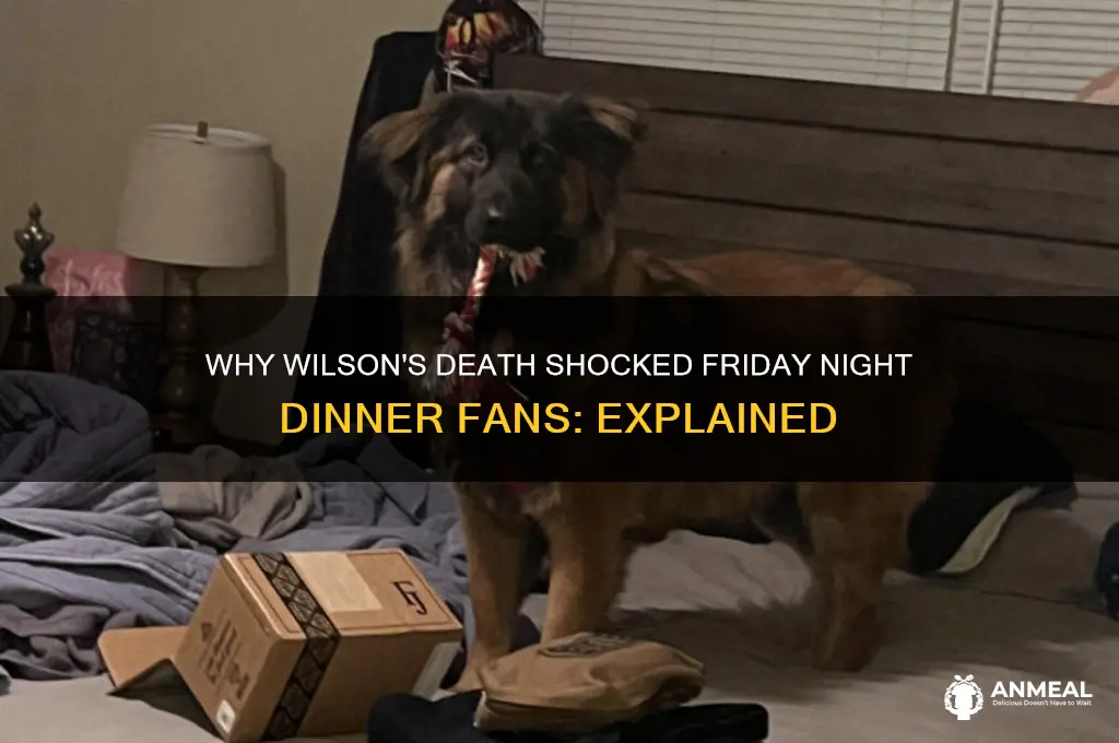 why did they kill wilson friday night dinner