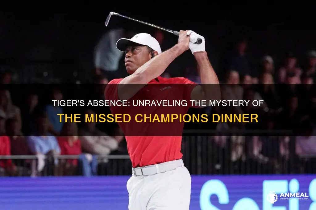 why did tiger miss the champions dinner