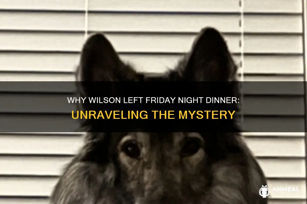 why did wilson leave friday night dinner
