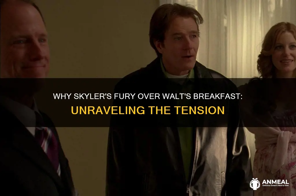 why didd skyler get mad at walt for making breakfast