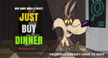 Why Didn't Wile E. Coyote Just Buy Dinner Instead?
