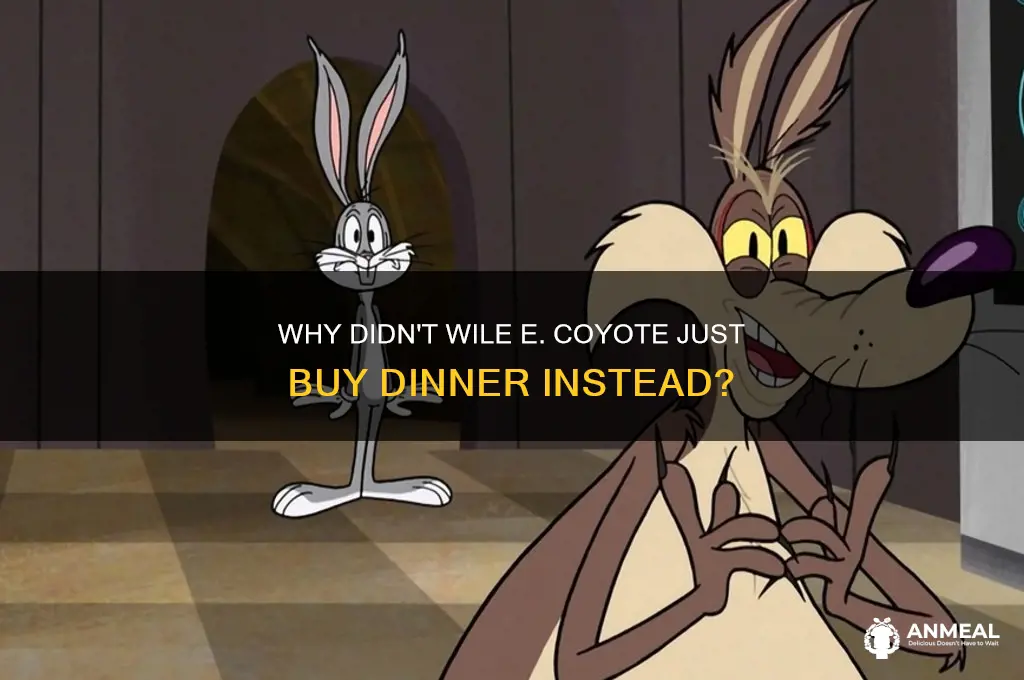 why didnt while e coyoty just buy dinner
