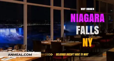 Dinner in Niagara Falls NY: A Culinary Adventure Awaits
