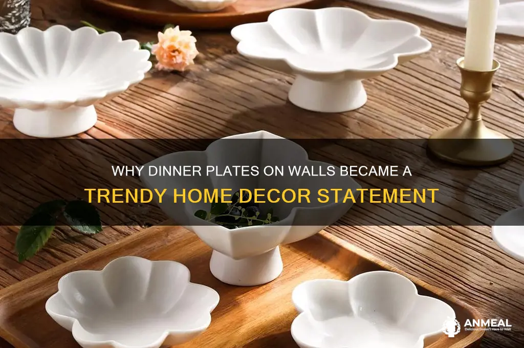 why dinner plate on wall fashion