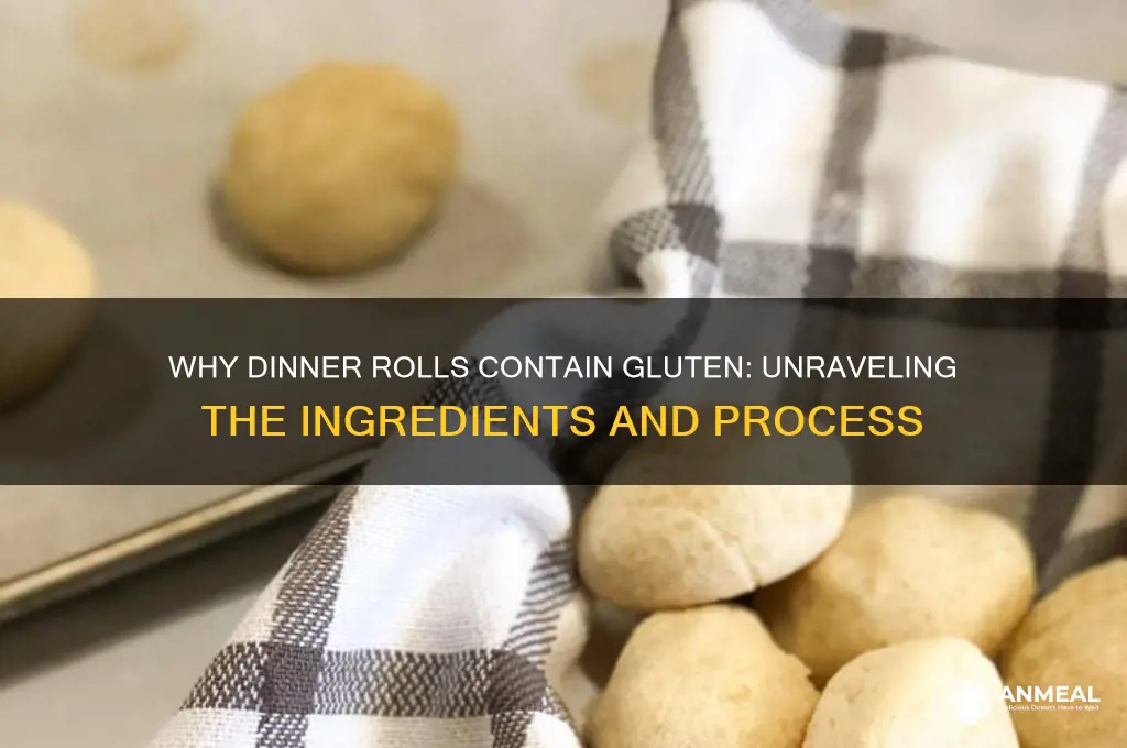 why dinner roll contains gluten