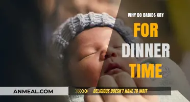 Why Do Babies Cry at Dinner Time? Understanding Their Hunger Cues