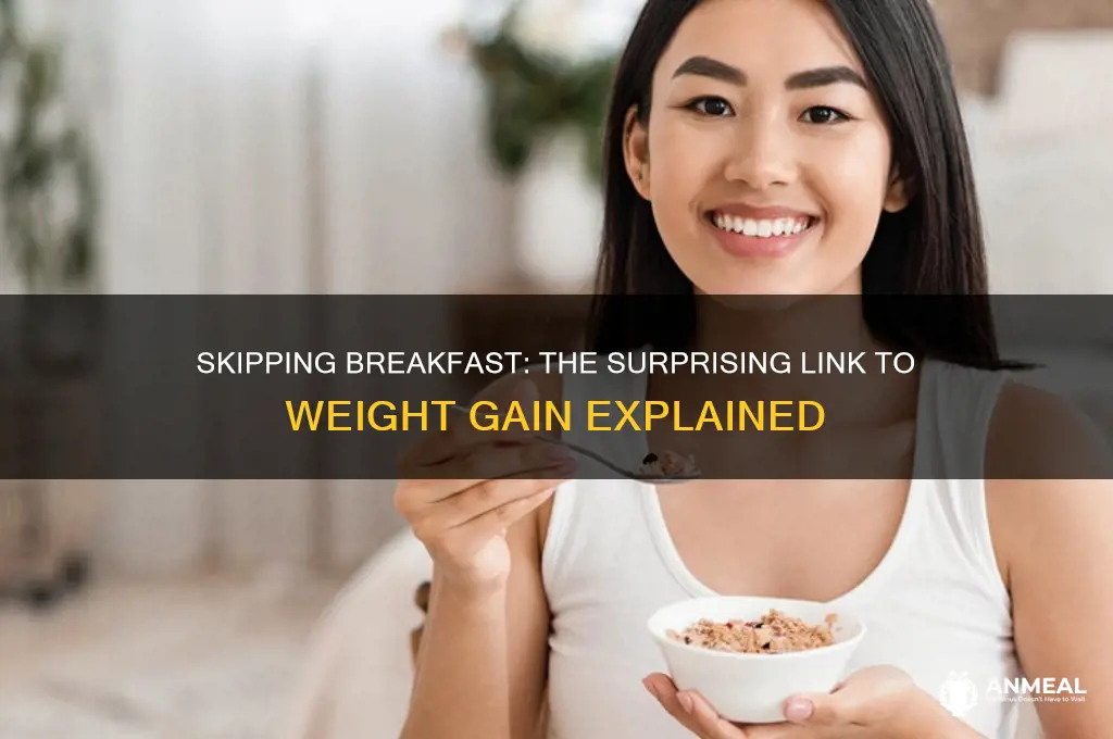 why do breakfast skippers gain weight