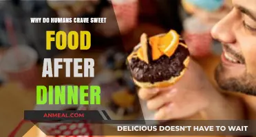Why Do We Crave Sweet Desserts After Dinner? Explained