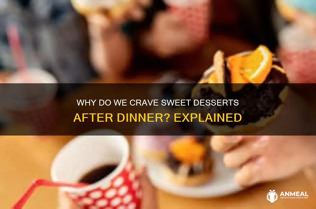 why do humans crave sweet food after dinner