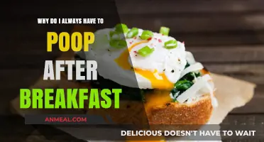 Why Breakfast Triggers Bowel Movements: Understanding Post-Meal Pooping