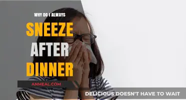 Post-Dinner Sneezes: Unraveling the Mystery Behind Your Evening Achoos