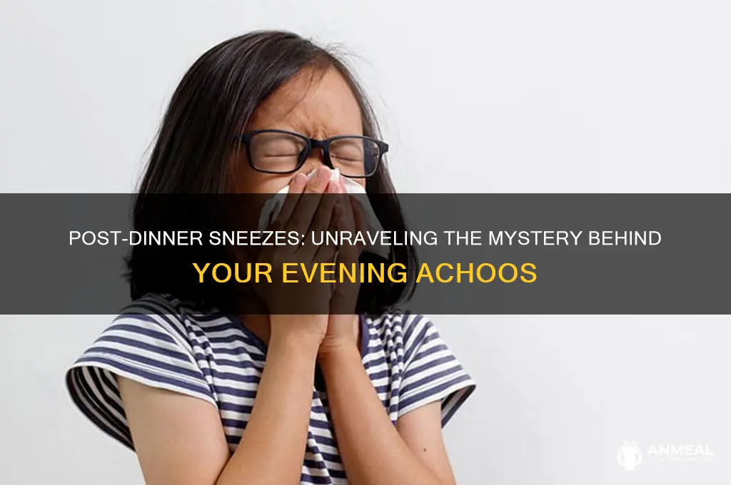 why do i always sneeze after dinner