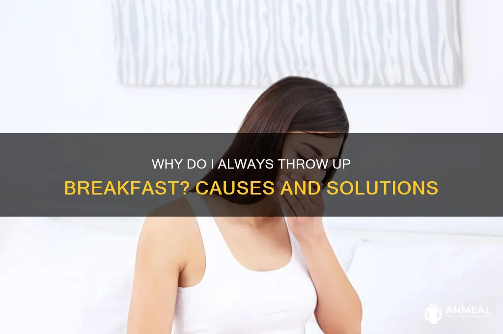 why do i always throw up breakfast