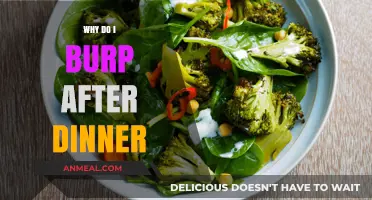 Why Do I Burp After Dinner? Understanding Post-Meal Burping