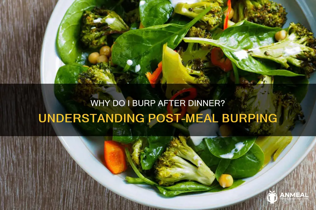 why do i burp after dinner