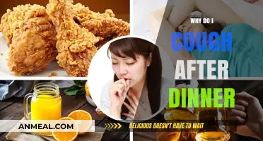 Post-Dinner Cough: Causes, Remedies, and When to Seek Help
