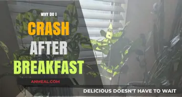 Post-Breakfast Energy Crash: Causes and Solutions for Morning Slumps
