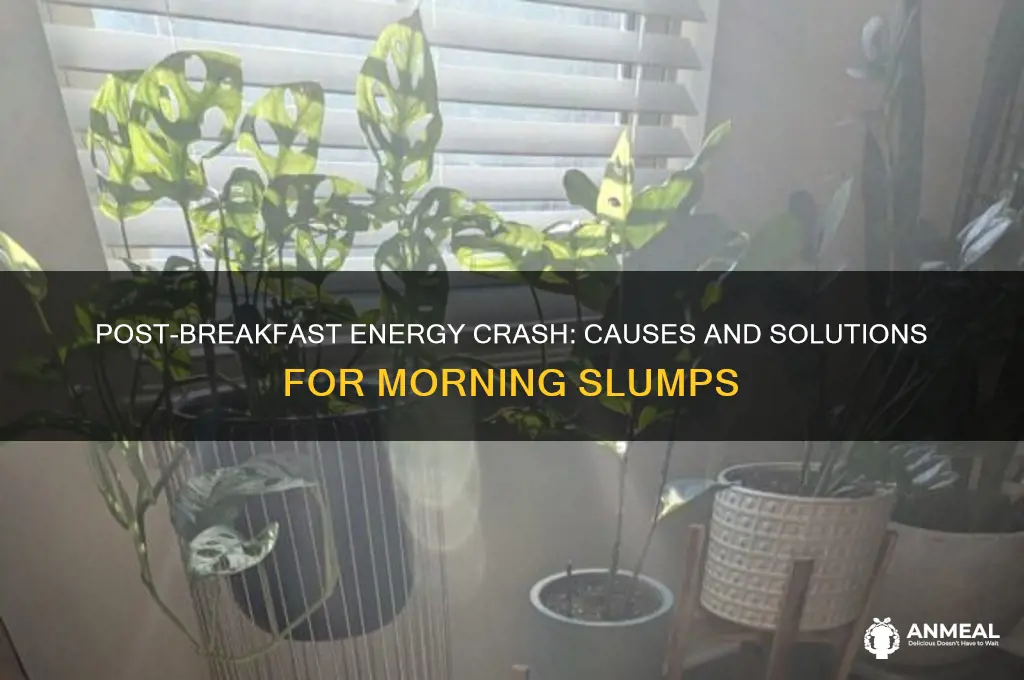 why do i crash after breakfast