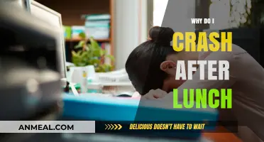 Post-Lunch Slump: Understanding the Science Behind Afternoon Crashes
