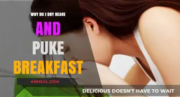 Why Morning Nausea Causes Dry Heaving and Vomiting Breakfast