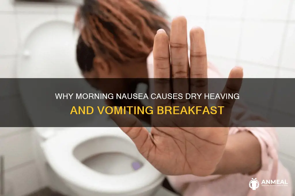 why do i dry heave and puke breakfast