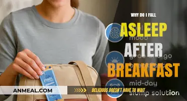 Post-Breakfast Slump: Understanding Why You Fall Asleep After Eating