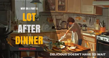 Post-Dinner Gas Explained: Why You Fart More After Eating