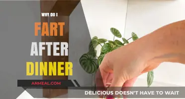 Post-Dinner Gas: Understanding Why You Fart After Eating