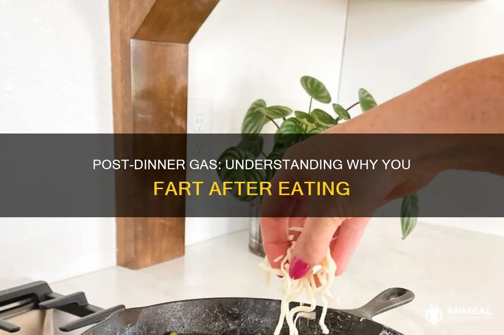 why do i fart after dinner
