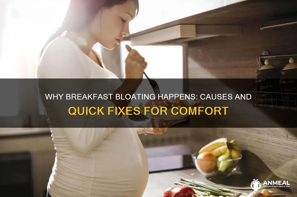 why do i feel bloated after breakfast