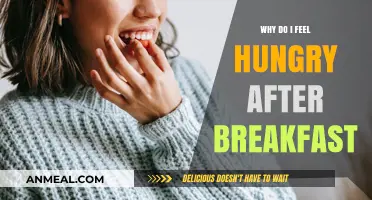 Why Do I Feel Hungry After Breakfast? Unraveling the Mystery