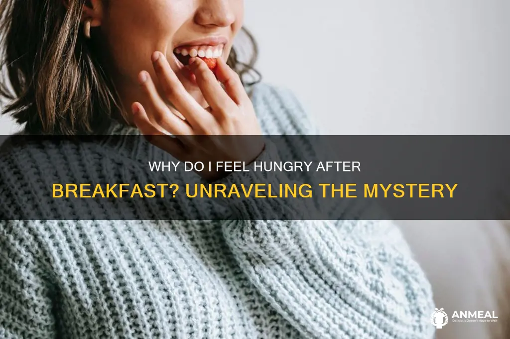why do i feel hungry after breakfast