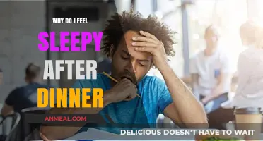 Post-Dinner Drowsiness: Understanding Why You Feel Sleepy After Eating