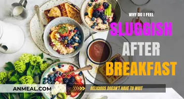 Post-Breakfast Slump: Unraveling the Causes of Morning Fatigue