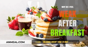 Post-Breakfast Fatigue: Unraveling the Causes of Morning Weakness