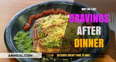 Why Do I Get Cravings After Dinner? Understanding Post-Meal Hunger