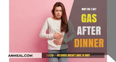 Post-Dinner Bloating: Understanding Why You Get Gas After Eating