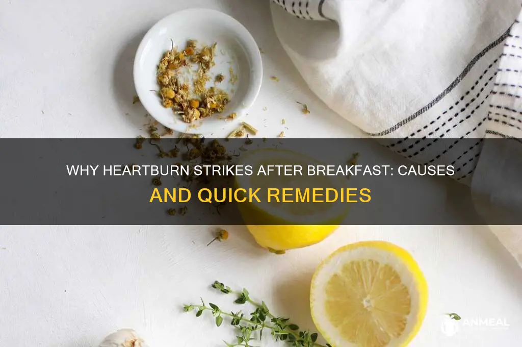 why do i get heartburn after breakfast