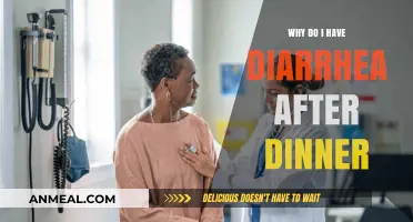 Post-Dinner Diarrhea: Causes, Triggers, and How to Find Relief